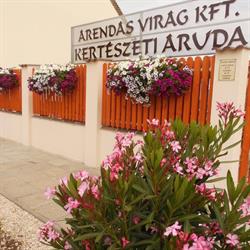 Árendás Virág Kft Kertészeti Áruda