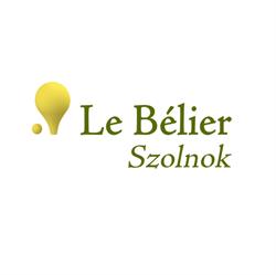 BSM Magyarország Kft.