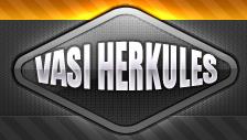 Vasi Herkules Kft.