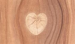 Möbel-Holz Bt.