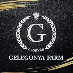 Gelegonya-Farm Mg. Kft.