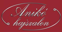 Sebők Anikó Anikó Hajszalon