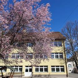 Móra Ferenc Általános Iskola Valkó