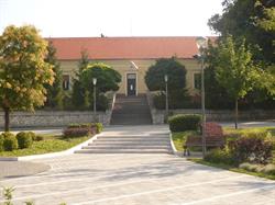 Szent Erzsébet Római Katolikus Általános Iskola Mór