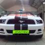 Mustang1