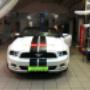 Mustang3