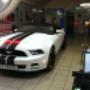 Mustang4