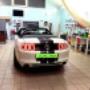 Mustang5