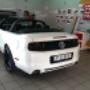 Mustang6