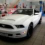 Mustang
