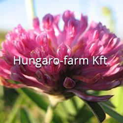 Hungaro-Farm Kft