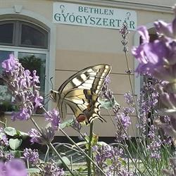 BETHLEN GYÓGYSZERTÁR