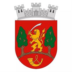 Városi Művelődési Ház és Könyvtár Újszász