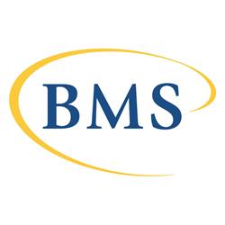 Bms Informatikai Kft.