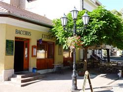 Bacchus Étterem - Tokaj