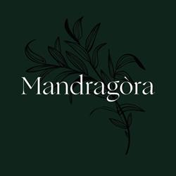 Mandragóra Kávéház