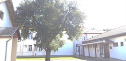 Muraszemenyei Általános Iskola