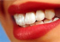 Dr. László Júlia