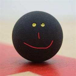 Fitness & Squash klub
