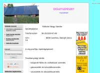 Földvári Nagy Sándor épületgépész