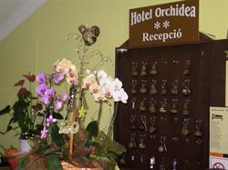 Becsey És Balázs Kft. - Hotel Orchidea
