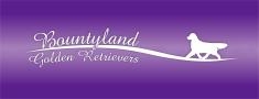 Bountyland Golden Retriever Kennel