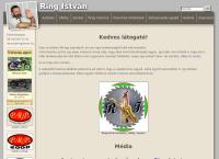 Ring István  Asztalos, Vőfély, Zenész