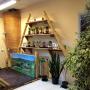 Babylon Grow Shop Bonsai sarok 2