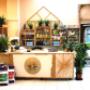 Babylon Grow Shop