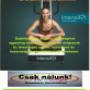 Egyedi program