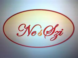 NesSzi Nice Webshop