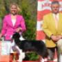 Látogató által feltöltött 2016. 10. 08. - Felvezetést vállalok! Border Collie Luna