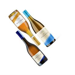 TOKAJI BOROZÓ