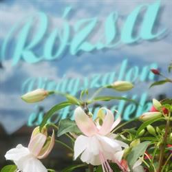 Rózsa Virágszalon és Ajándék