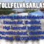 Tollfelvásárlás, Tollfelvásárló