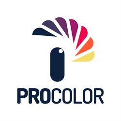 Procolor Kft. Autófesték-Autódekor