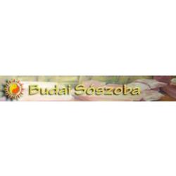 Budai Sószoba