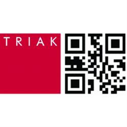 TRIAK Számítógép Szerviz