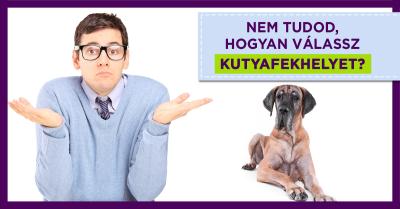 Így-válassz-kutyaágyat