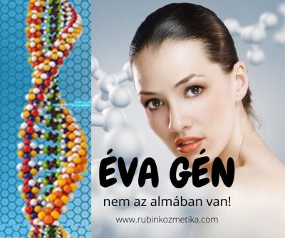 Borfiatalítás-ÉVA-GÉN