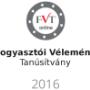 FV