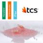 TCS Thermoplasztikus fogsorok