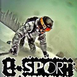L-Sport