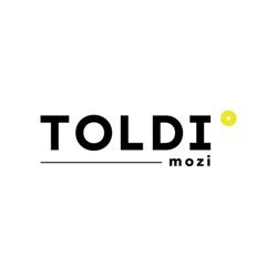 Toldi mozi