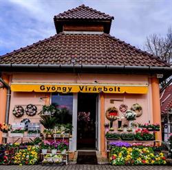 Gyöngy Virágbolt