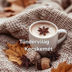 Tündérvilág Bizsu, Táska és Kiegészítő
