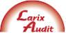 Larix Audit Kft.