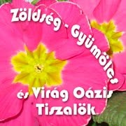 Zöldség - Gyümölcs és Virág Oázis Tiszalök