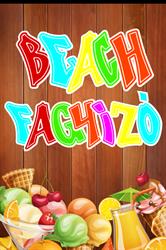 Beach Fagyizó