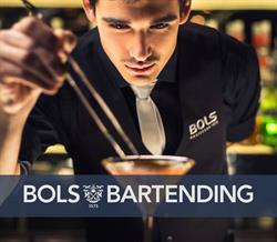 Bols Mixer Akadémia